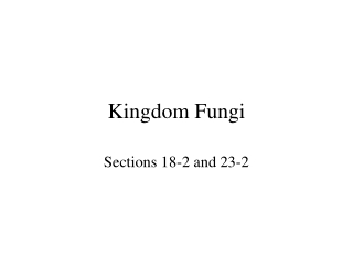 Kingdom Fungi