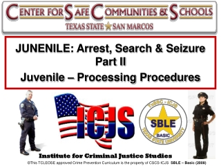 Institute for Criminal Justice Studies