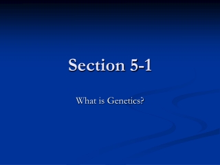 Section 5-1