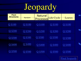 Jeopardy