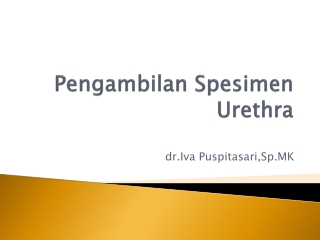 Pengambilan Spesimen  Urethra