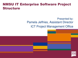 NMSU IT Enterprise Software Project Structure