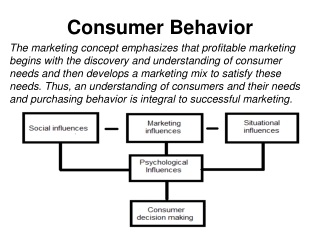 Consumer Behavior