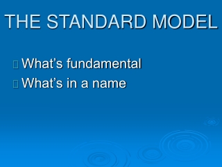 THE STANDARD MODEL