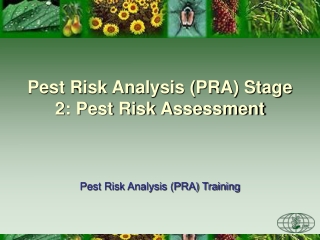 Pest Risk Analysis (PRA) Stage 2: Pest Risk Assessment