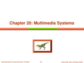 Chapter 20: Multimedia Systems