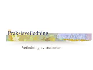 Praksisveiledning