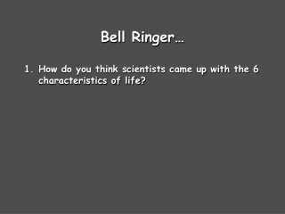 Bell Ringer…