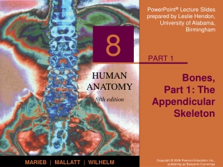 Bones,  Part 1: The Appendicular Skeleton