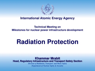 Technical Meeting on  Milestones for nuclear power infrastructure development Radiation Protection