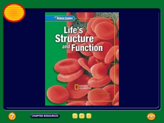 Chapter:  Cell Reproduction