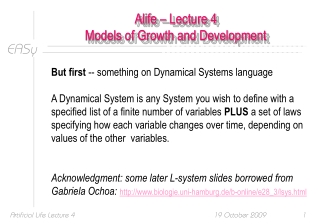 Alife – Lecture 4 Models of Growth and Development