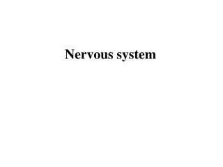 Nervous system