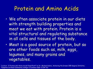 Protein and Amino Acids