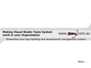 Making Visual Studio Team System work in your Organisation