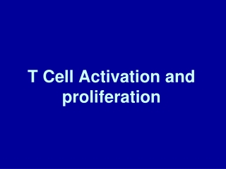 T Cell Activation and proliferation