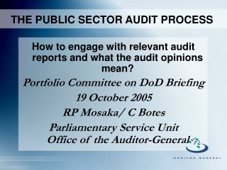 THE PUBLIC SECTOR AUDIT PROCESS