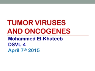 TUMOR VIRUSES AND ONCOGENES