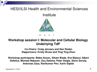 HESI/ILSI Health and Environmental Sciences Institute