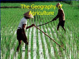 The Geography of Agriculture