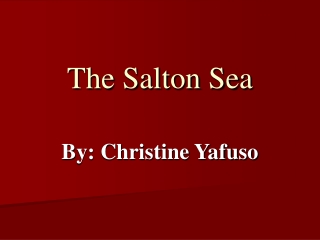 The Salton Sea