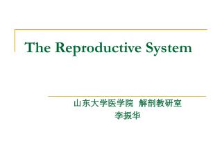 The Reproductive System