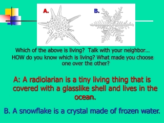 Which of the above is living?  Talk with your neighbor…