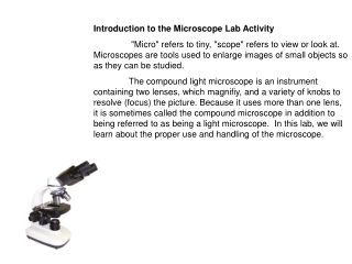 Introduction to the Microscope Lab Activity