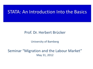 STATA: An Introduction Into the Basics