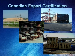 Canadian Export Certification