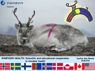 RANFIGER HEALTH: Scientific and educational cooperation           in reindeer health