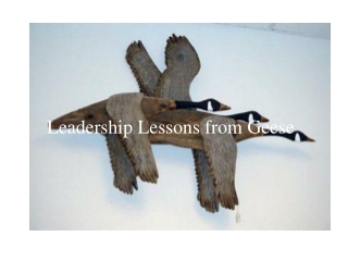 Leadership Lessons from Geese