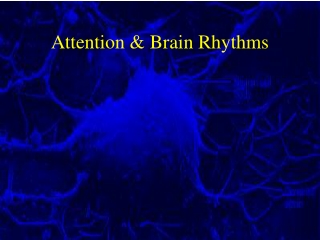 Attention &amp; Brain Rhythms