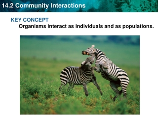 KEY CONCEPT  Organisms interact as individuals and as populations.