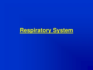 Respiratory System