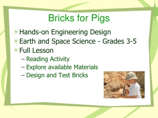 Bricks  f or Pigs