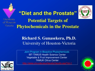 “Diet and the Prostate” Potential Targets of  Phytochemicals in the Prostate