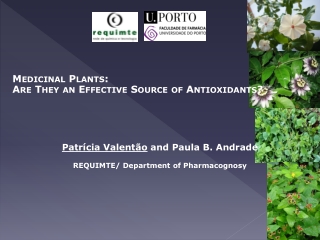 Patrícia Valentão  and Paula B. Andrade REQUIMTE/ Department of Pharmacognosy