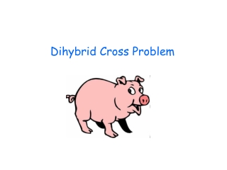 Dihybrid Cross Problem