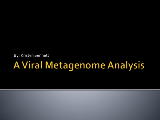 A Viral  Metagenome  Analysis