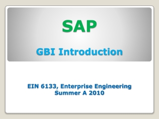 SAP GBI Introduction EIN 6133, Enterprise Engineering Summer A 2010