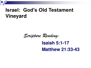 Israel:  God’s Old Testament Vineyard