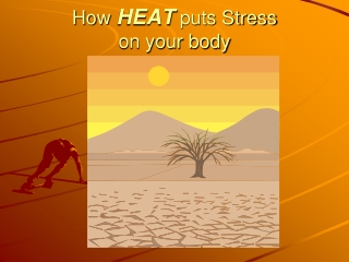 How  HEAT  puts Stress  on your body