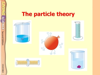 The particle theory