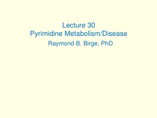 Lecture 30 Pyrimidine Metabolism/Disease