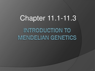 Introduction to Mendelian Genetics