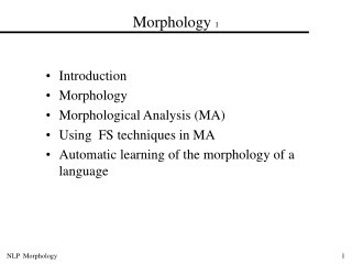 Morphology  1