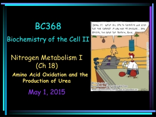 BC368 Biochemistry of the Cell II