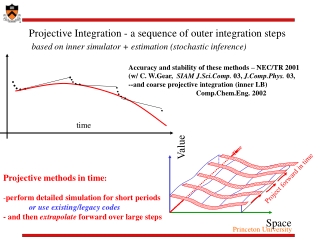 Projective Integration - a sequence of outer integration steps