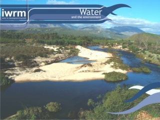 Water and the Environment –  Wilna Kloppers Department: Water Affairs &amp; Forestry IWRM  Projects